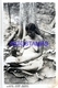 125423 ARGENTINA CHACO COSTUMES NATIVE WOMAN SEMI NUDE & BABY SPOTTED PHOTO NO POSTAL POSTCARD - Fotografie