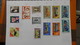 Delcampe - A239 Cahier De Timbres De Hongrie Dont Fin De Catalogue. A Saisir !!! Voir Commentaires - Collections (en Albums)