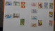 Delcampe - A241 Cahier De Timbres De Roumanie Dont Fin De Catalogue. A Saisir !!! Voir Commentaires - Collections (en Albums)