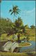 Palm Grove Gardens, South Shore, Bermuda, 1964 - Gorham Postcard - Bermuda