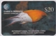 Delcampe - DIEGO GARCIA , DGA-R-63-69 , 1st MARINE LIFE  SET ,  7 Cards , MINT / UNUSED , CONTROL NUMBERS 00018 - Diego-Garcia