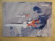 HELVETIC   FOKKER 100     AIRLINE ISSUE / CARTE COMPAGNIE - 1946-....: Moderne