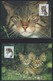 WWF-SLOWAKIJE-EUROPESE WILDE KAT-stamps+4 FDC + 4 MAX - THEMA DIEREN - WILD LIFE - ANIMALS - KATTEN - CATS - FDC