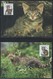 WWF-SLOWAKIJE-EUROPESE WILDE KAT-stamps+4 FDC + 4 MAX - THEMA DIEREN - WILD LIFE - ANIMALS - KATTEN - CATS - FDC