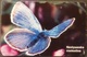 Telefonkarte Griechenland - 06/97 - Schmetterling  - Aufl. 300000 - Griechenland