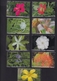 DIEGO GRCIA , DGA-R-90-98  9 CARDS , 1st FLOWER SET , MINT , ALL CARDS  CN's.  00007 - Diego-Garcia