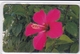 DIEGO GRCIA , DGA-R-90-98  9 CARDS , 1st FLOWER SET , MINT , ALL CARDS  CN's.  00007 - Diego-Garcia