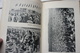 Delcampe - Nationaal Socialisme Hagespraak Geillustreerd Gedenkboek Herrinering Eerst National Hagesprakk Der NSB Mussert 1936 - Andere & Zonder Classificatie