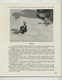 Delcampe - PHOTO-CINEMA Magazine Article Et Photos Pierre AURADON 1941 - Unclassified