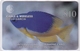 DIEGO GRCIA , DGA-R-81 , $10 POMACENTRUS CAERULEUS ( Fish ) , MINT , CN  00100 - Diego-Garcia