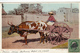 416/ Mammy Going To Market, Vrouw Op Ossenwagen, 1905 - Other & Unclassified