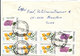 Argentina Cover Sent Air Mail To Switzerland 9-10-1989 Topic Stamps FLOWERS On Front And Backside Of The Cover - Lettres & Documents