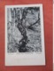 Cocoa Tree   Trinidad   Has Stamp & Cancel      Ref 3761 - Trinidad