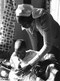 Photo Kenya Dispensaire Rural Maman Avec Son Nouveau-né Photo Vivant Univers - Africa