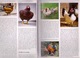 KIPPEN ENCYCLOPEDIE 336blz Met Veel Kleurenfoto’s ©2008 KIP HOENDER HAAN HEN PLUIMVEE Coq Chicken Poulet Vogel Z435 - Enzyklopädien