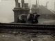 BULL ON A LONDON ROOF UK ENGLAND   ANIMAUX ANIMALS ANIMALES 21*16CM Fonds Victor FORBIN 1864-1947 - Lugares