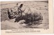 Rhino - Rhinoceros - African Rhino Comes Out Of The Water - Russian Old Postcard 1910s  Very Rare - Rinoceronte