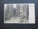 CSSR / Böhmen 1933 Echtfoto AK Verschneiter Wald / Frohe Weihnachten Zweisprachiger Stempel Cheb 2 / Eger 2 - Storia Postale