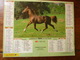 Calendrier, Almanach Du Facteur - La Poste - 1994 - Chevaux - Autres & Non Classés