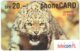 LIECHTENSTEIN A-064 Prepaid TelecomFL - Animal, Cat, Leopard - Used - Liechtenstein