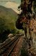 Nilgiri Railway, Half Tunnel. INDIA // INDE. - India