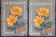 Error Romania 1960, MI 1823 Flowers With Errors  Used - Variedades Y Curiosidades