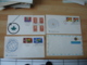 Nations Unies  Lot De  11 Fdc Enveloppe 1 Er Jour - Lettres & Documents