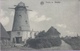 (2160) Vilvoorde - Vilvorde - Windmolen Bals - Moulin De Peuthy -  1920 - Vilvoorde