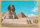 Egitto - Viaggiata - Andere & Zonder Classificatie