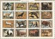 Umm Al Qiwain Lot 32 Timbres En 2 Blocs Les Animaux En Voie De Disparition - Année 1972 Mi 1370 à 1385 Et Mi 1530 à 1545 - Umm Al-Qiwain