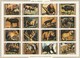 Umm Al Qiwain Lot 32 Timbres En 2 Blocs Les Animaux En Voie De Disparition - Année 1972 Mi 1370 à 1385 Et Mi 1530 à 1545 - Umm Al-Qiwain