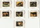 Umm Al Qiwain - Lot De 16 Timbres Les Animaux En Voie De Disparition - Année 1972 Mi 1530 à 1545 BwBL - Umm Al-Qiwain