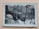 Soldaten ( Stamp : STALAG VIIIA 7 Geprüft ) ( +/- 9,5 X 7 Cm. ) ( Zie / See / Voir Photo ) ! - Oorlog, Militair