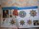 Delcampe - SERBIA ARMY MILITARY ROYAL DECORATIONS MEDAL ORDER BOOK DEKORATIONEN MEDAILLE BUCH RED CROSS Obilic Sv Sava White Eagle - Autres & Non Classés