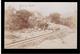 Guinee Francaise Chemin De Fer Ca 1910 Old Real Photo - Guinée