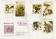 Burkina Faso Audubon Perforated And Imperforated Sets And SSs And 6 Deluxe SSs On 4 Used R Covers, Very Rare!!! - Other & Unclassified