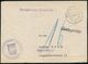 WESTZONEN / BIZONE / TRIZONE (BIS 1949) : REGENSBURG/ D 1948 (10.5.) 2K-Steg + 1L: Portoplichtige Dienstsache + 1L: Nach - Autres & Non Classés