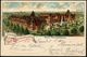 KURORTE / HEILQUELLEN : Bad Oeynhausen 1901 (13.6.) 1K-Gitter: OEYNHAUSEN/* (BAD) B Klar Auf Color-Litho-Ak.: "Gruss Aus - Medicina