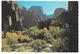 TEMPLE OF SINAWAYA, ZION NATIONAL PARK, UTAH - Publ. Intermountain Tourist Supply Inc. No. B2060 - Zion