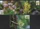 2017 Taiwan R.O.CHINA - Maximum Card.- Wild Orchids Of Taiwan  (Continued) 5 Pcs. - Orchidées