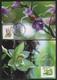 2017 Taiwan R.O.CHINA - Maximum Card.- Wild Orchids Of Taiwan  (Continued) 5 Pcs. - Orchidées