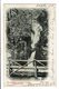 CPA-Carte Postale-Royaume Uni- Aberystwyth- The Cascade Liyfnant Valley-1904-VM10377 - Cardiganshire