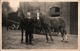 ! Alte Fotokarte Photo Pferde, Horses - Chevaux