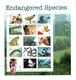 Encart Endangered Species - Premier Jour Zoo De San Diego 02/10/96 - USPS 1996 - Andere & Zonder Classificatie