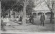 LUNEL ( Hérault)  Promenade Du Plateau Animée  - Les Arènes ( 1919 ) - Lunel