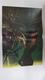 Poster Doble: Sersi (Rick Berry) - Spider-Girl. Proveniente De Women Of Marvel Posterbook - Otros & Sin Clasificación