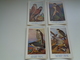 Beau Lot De 10 Cartes Postales Oiseaux  Oiseau  Illustrateur H.Dupond     Mooi Lot Van 10 Postkaarten Van Vogels  Vogel - 5 - 99 Cartes