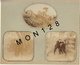 BLAGNAC (33) 4 PHOTOS TRES ANCIENNES COLLES SUR CARTON DUR - Anciennes (Av. 1900)