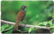 Taiwan - Chunghwa Telecom (Chip) - Bird On Tree Branch - 210U, Exp. 31.12.2006, Used - Taiwán (Formosa)