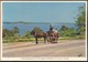 °°° 14842A - IRELAND - IRISH JAUNTING CAR BY THE LAKES OF KILLARNEY - 1967 With Stamps °°° - Kerry